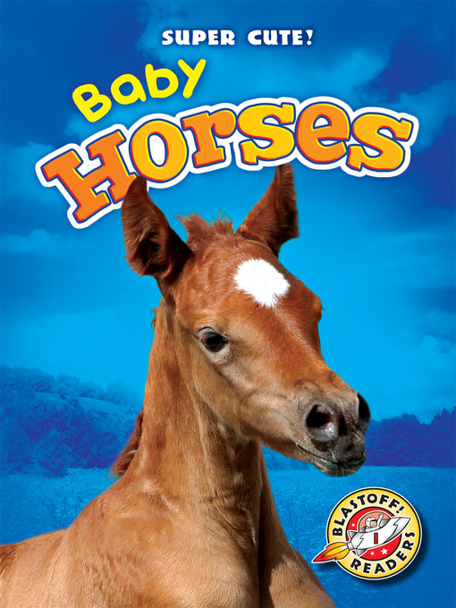 Title details for Baby Horses by Dana Fleming - Wait list